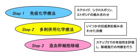 当センターにおける治療方針