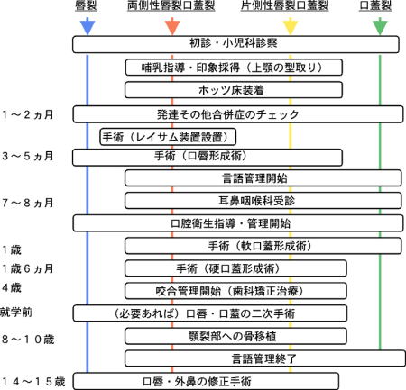 治療の手順