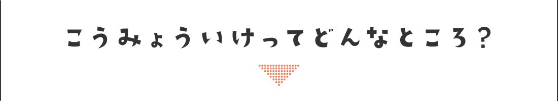 こうみょういけってどんなところ？？