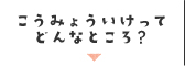 こうみょういけってどんなところ？