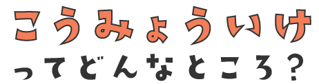 こうみょういけってどんなところ？